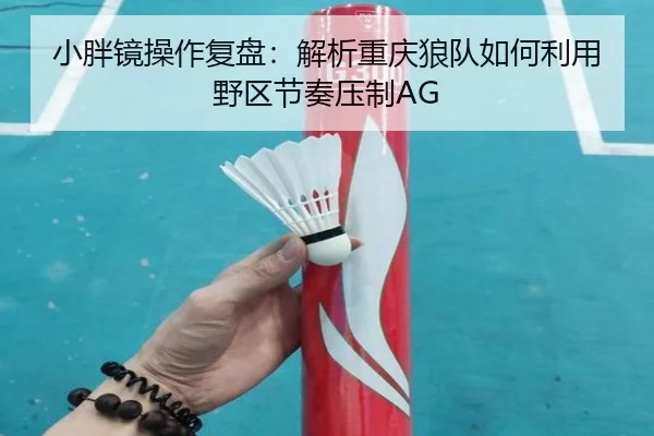 小胖镜操作复盘：解析重庆狼队如何利用野区节奏压制AG