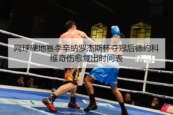 网球硬地赛季辛纳罗杰斯杯夺冠后德约科维奇伤愈复出时间表